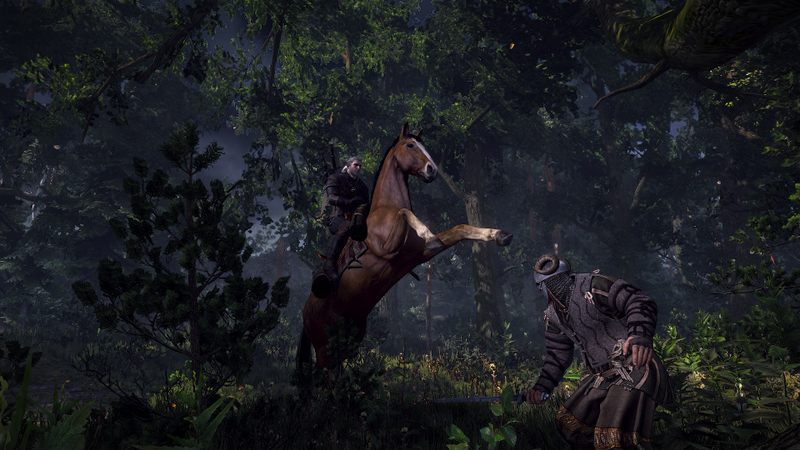 Illustration for article titled The Witcher 3 Looks Ready for the PS4 in These New Screenshots